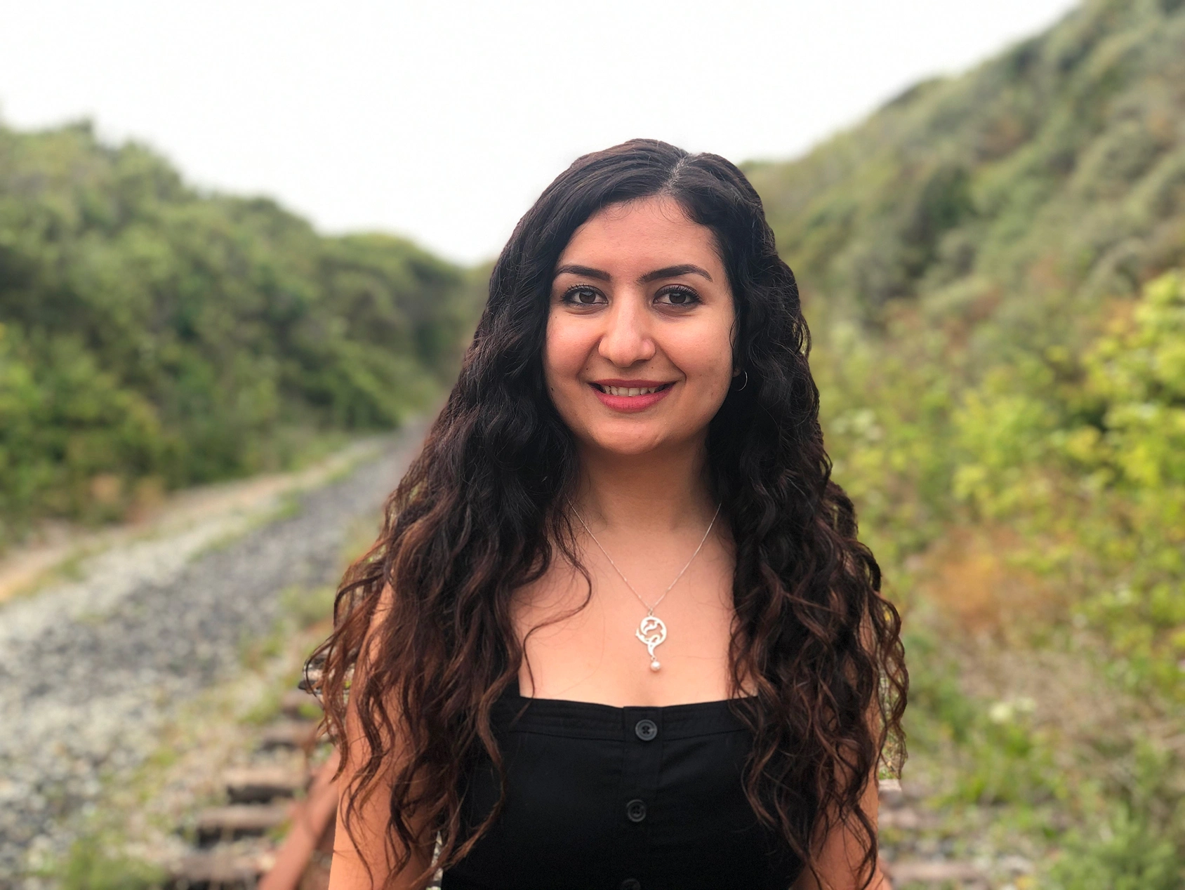 Elham Baharlouei
